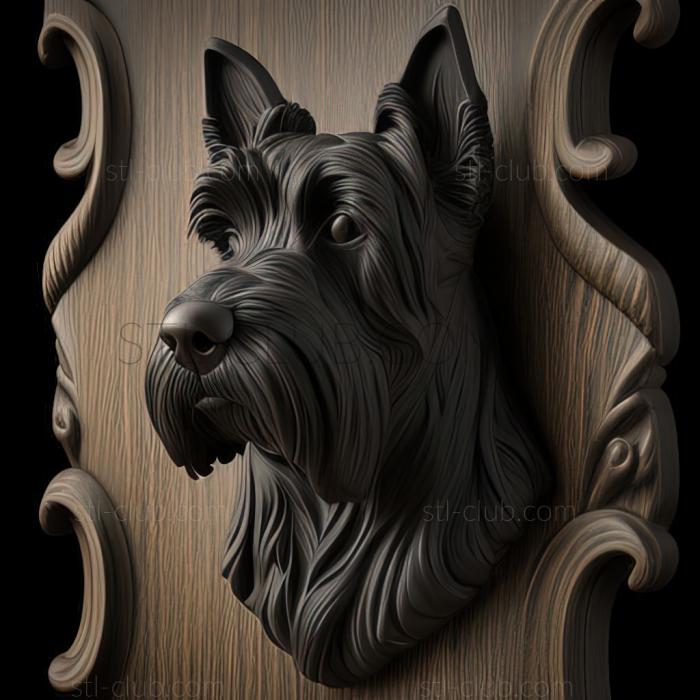 st Black Terrier dog